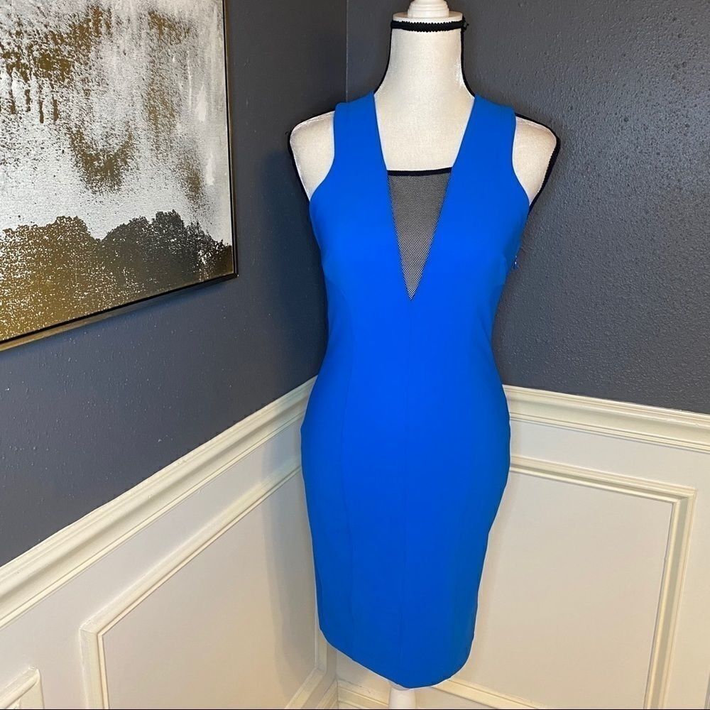 Robert Rodriguez Sheath Dress with Mesh detailing